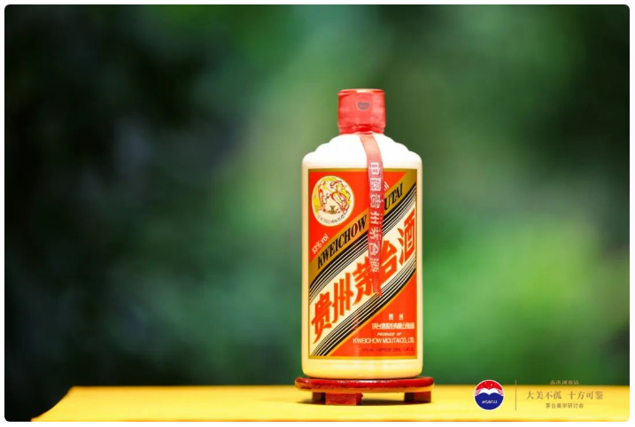 泽轩皓月