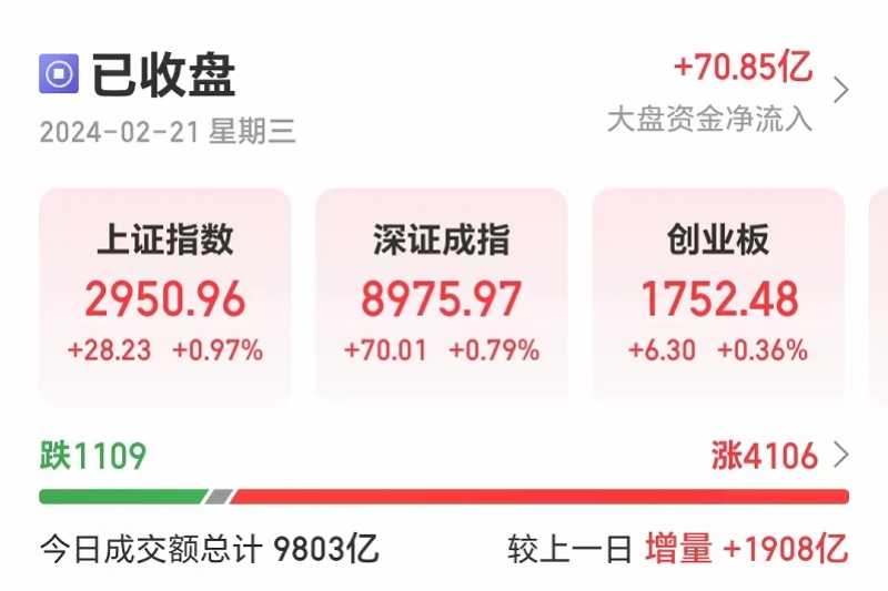 泽轩皓月