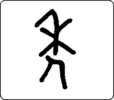 泽轩皓月