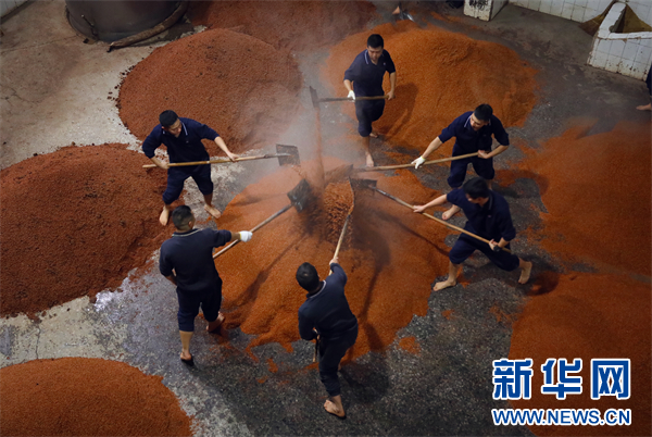 泽轩皓月