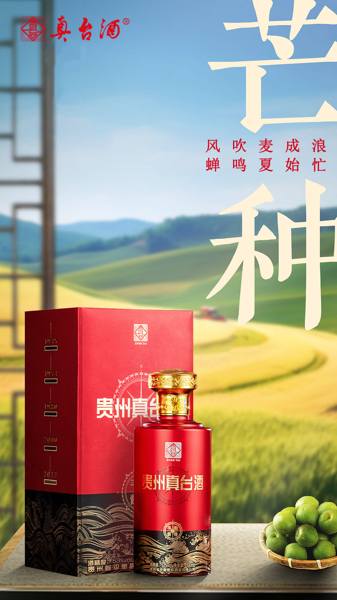 泽轩皓月