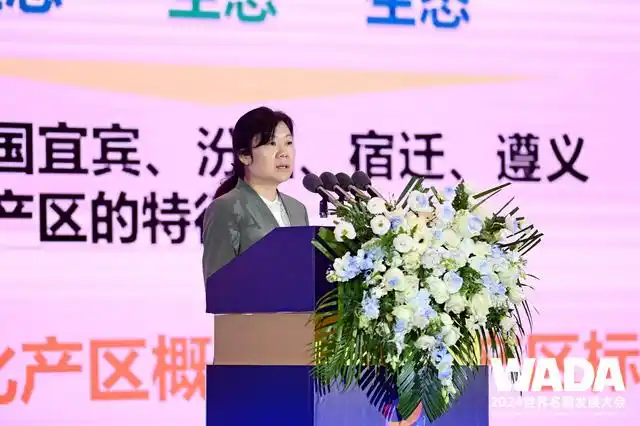 泽轩皓月